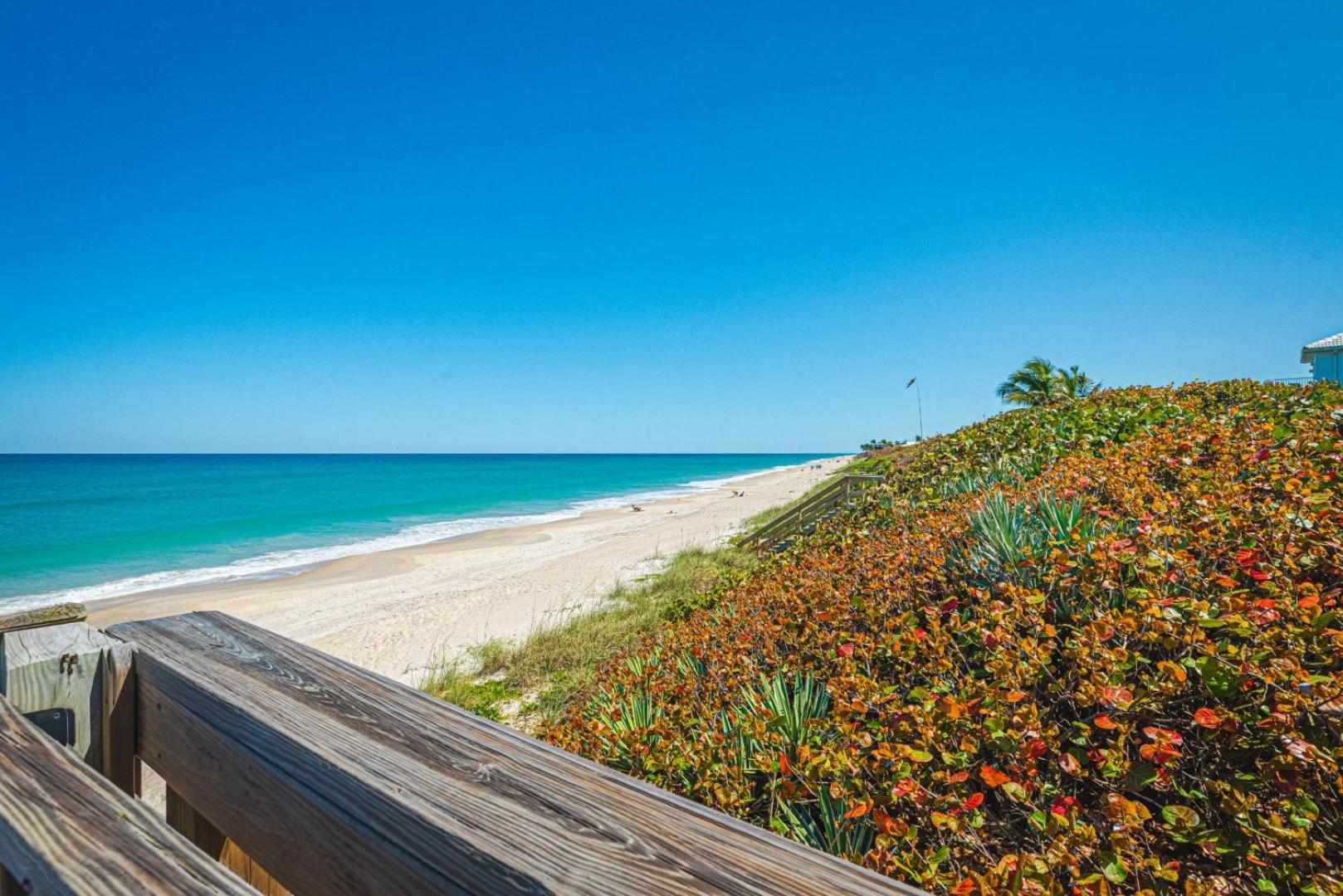 Tranquility Seahorse Suite - Oceanfront Paradise! Melbourne Beach Exterior foto